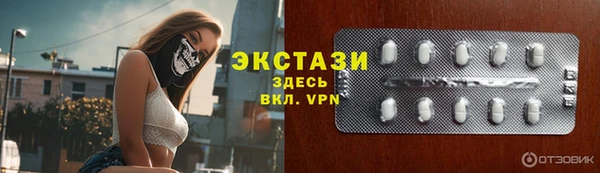 крисы Новозыбков