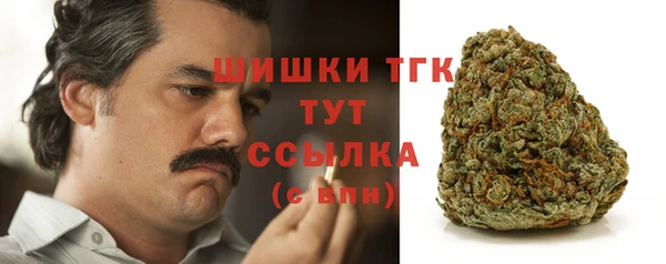 крисы Новозыбков