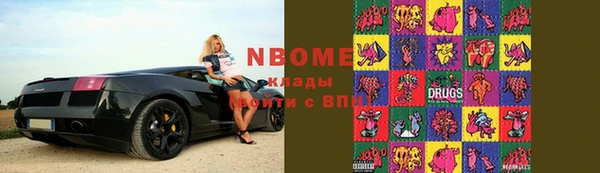 крисы Новозыбков