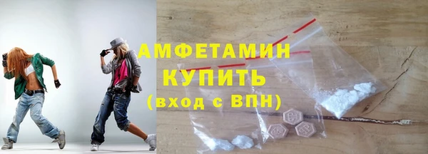 крисы Новозыбков