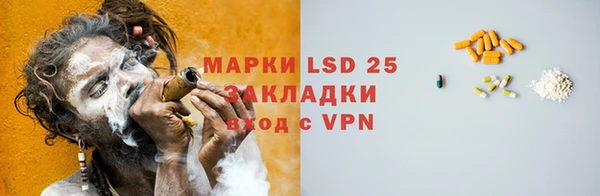 крисы Новозыбков