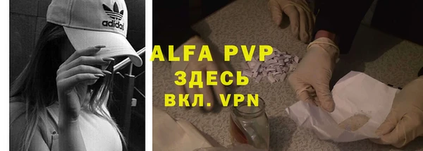 крисы Новозыбков