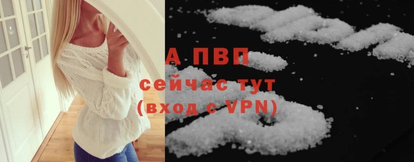 PSILOCYBIN Новодвинск