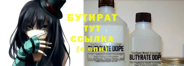 крисы Новозыбков