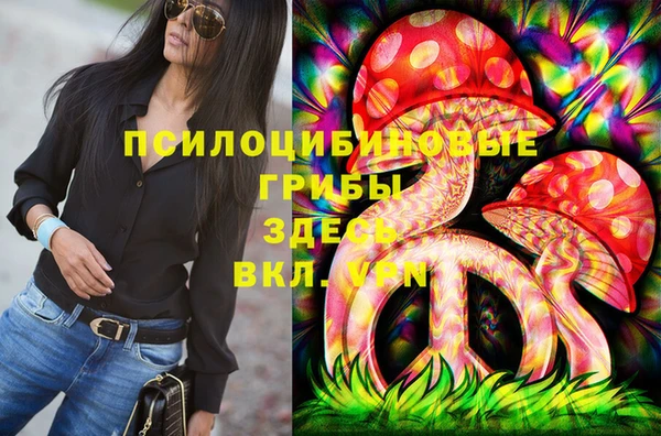 первитин Бикин