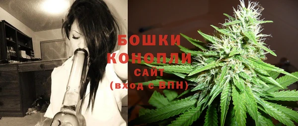 крисы Новозыбков