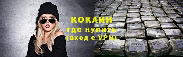 крисы Новозыбков