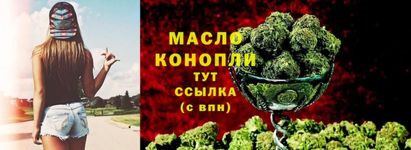 крисы Новозыбков