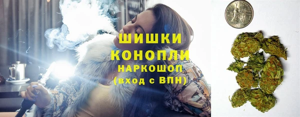 крисы Новозыбков
