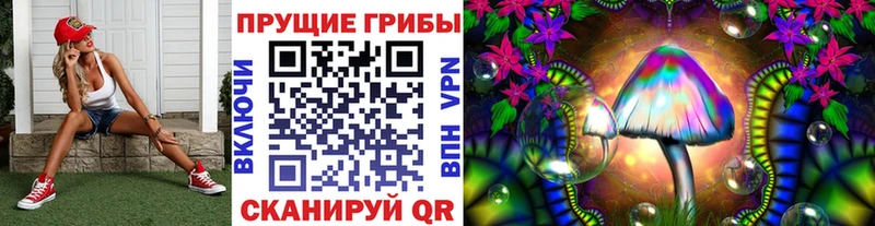 Галлюциногенные грибы Cubensis  цена   сайты даркнета формула  Черногорск 